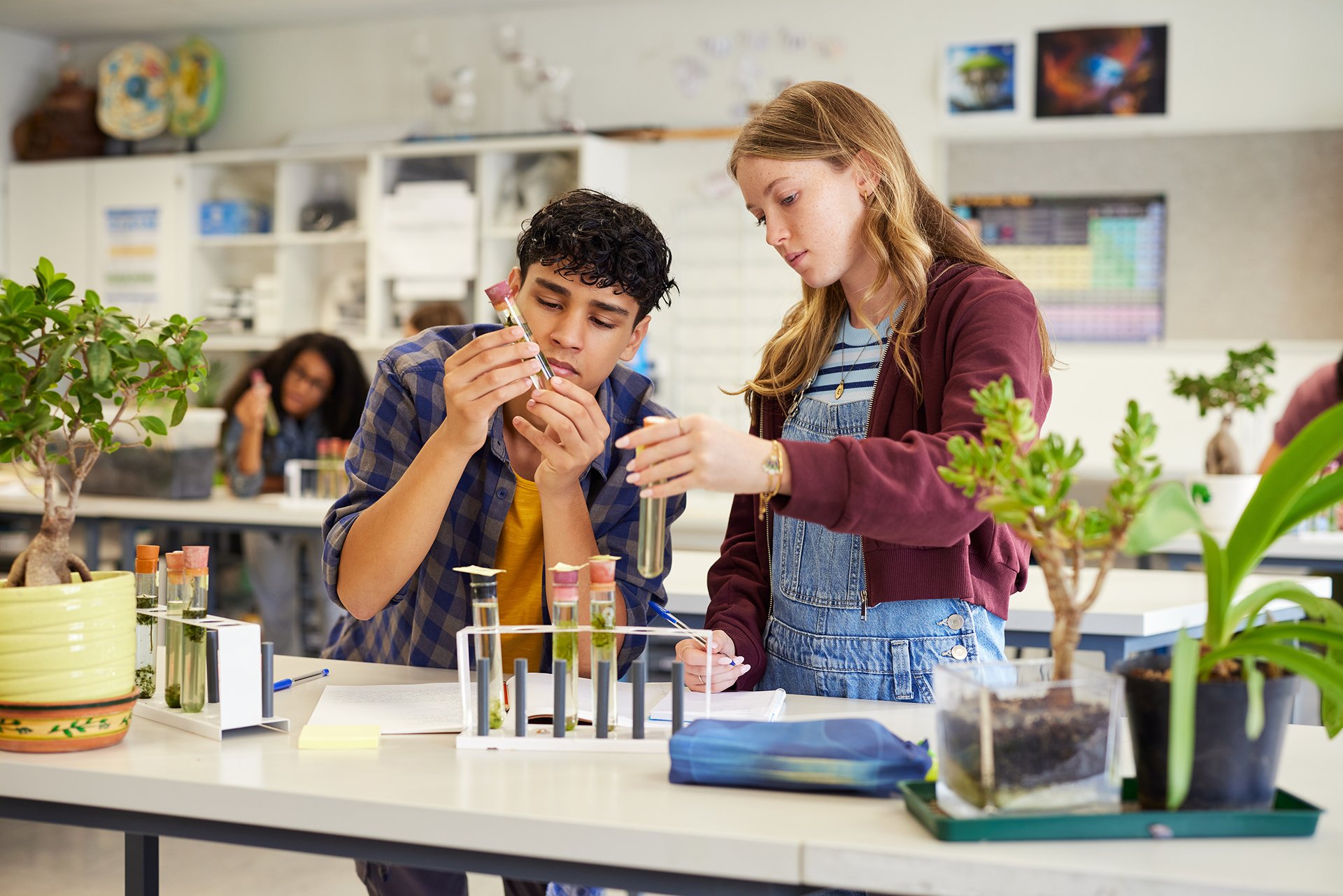 Students doing lab investigation